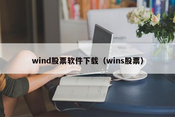 wind股票软件下载（wins股票）