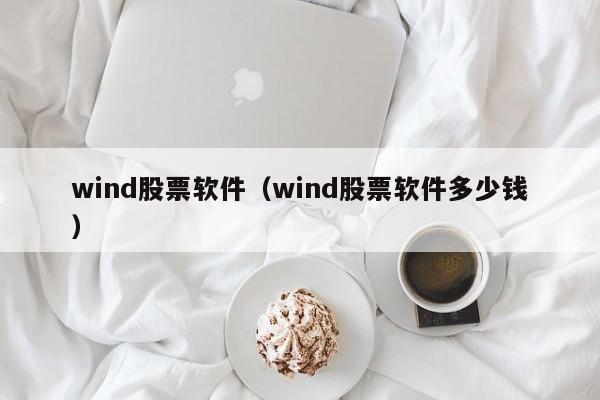 wind股票软件（wind股票软件多少钱）